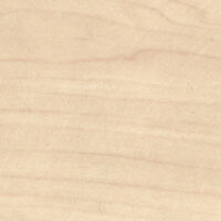 DC0101-6T_clen_glajnec