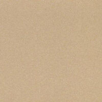 DW502-6T_kapuchino_metallik_gl