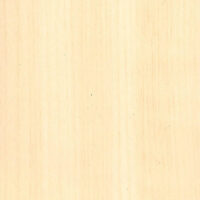 K020-05_klen