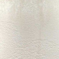 SE-004_deyneris