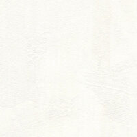 SE-005_picel