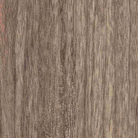 TEB196-4W_greckiy_oreh